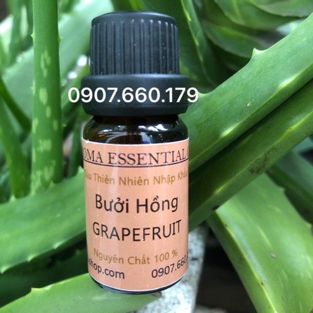 Tinh dầu bưởi hồng Grapefruite thiên nhiên thơm nhà