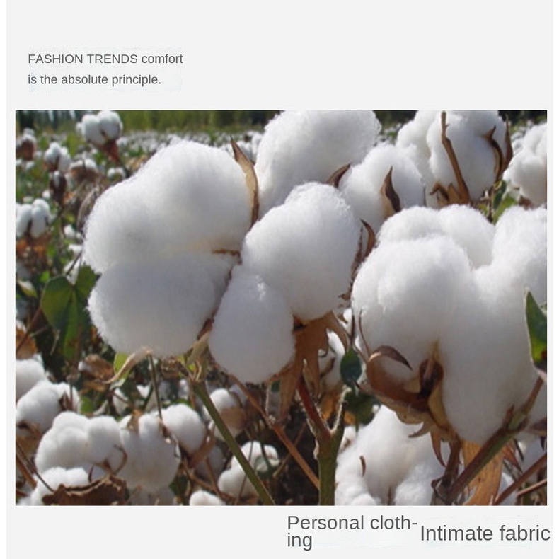Bộ áo liền quần cotton dài tay có in hình vịt Donald hoạt hình cho bé trai và bé gái sơ sinh