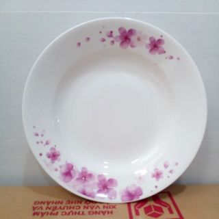 combo 2 dĩa sứ phẳng 23cm