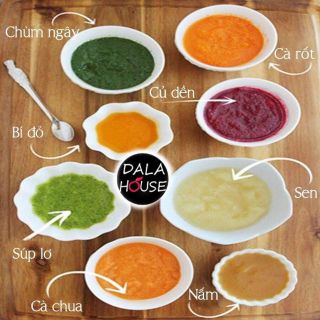Bột Rau Cải Xoăn Kale