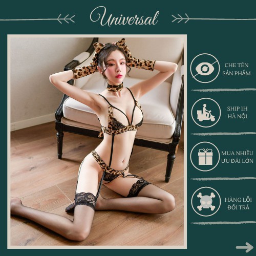 Đồ Cosplay Chú Báo Siêu Quyễn Rũ - Bộ Đồ Ngủ Cosplay Con Báo Sexy UNIVERSALXXX - DCP23 | BigBuy360 - bigbuy360.vn