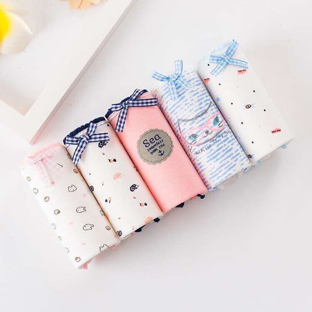 quần lót cute chất cottton (set 5)