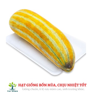 Hạt giống dưa gang cao sản 0.5g
