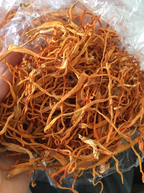 Combo 1 kg hoa đông trùng hạ thảo khô sấy lạnh | BigBuy360 - bigbuy360.vn