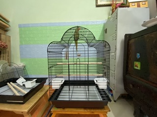 Lồng vẹt E2