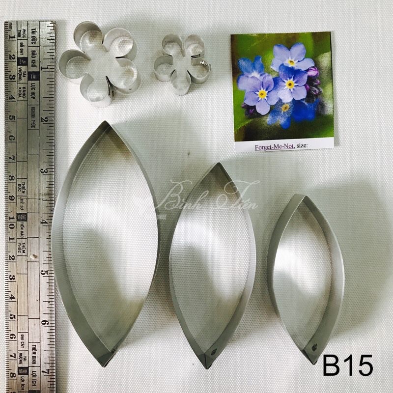 KHUÔN HOA FORGET ME NOT