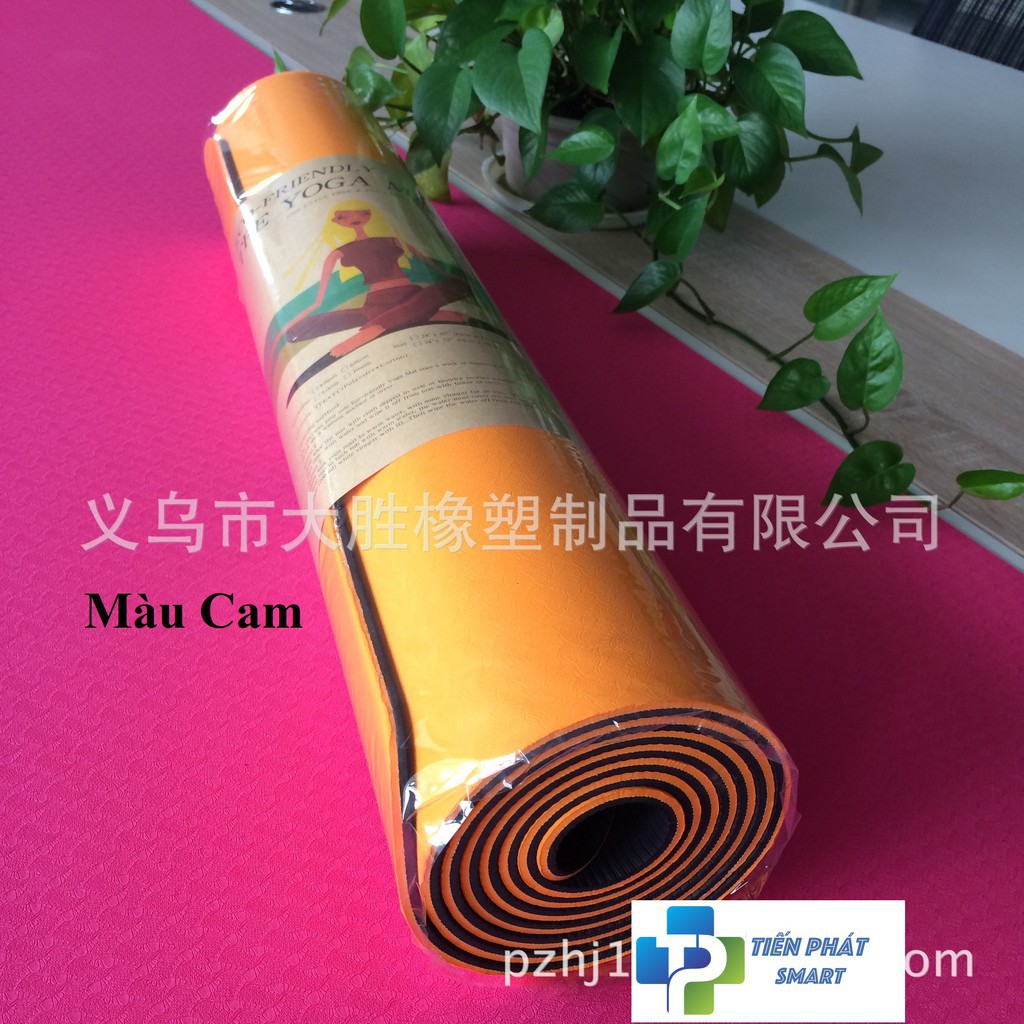 Thảm Yoga tặng kèm túi lưới TPE 2 lớp 6mm