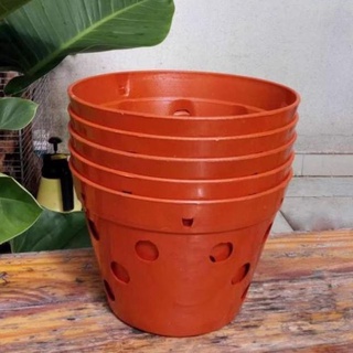 Chậu nhựa giả gốm f17 cm