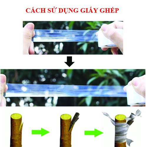 Giấy Ghép Cây Tự Hủy rộng 3cm x dài 350m - BĂNG KEO GHÉP CÂY GIÚP BẢO VỆ MỐI GHÉP