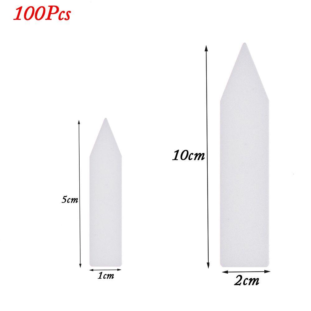 100 Hạt Giống Cây Chống Thấm Nước