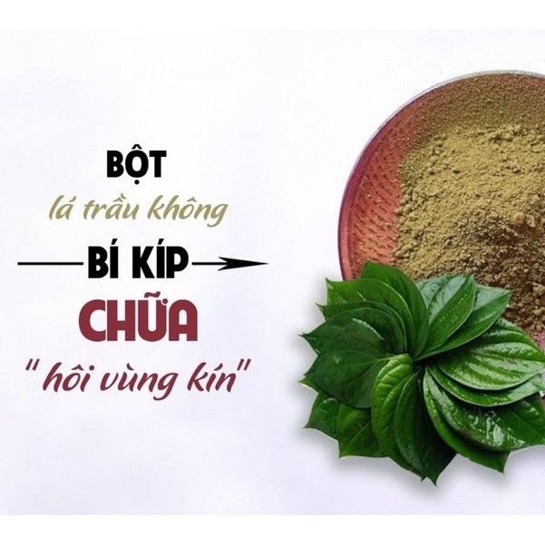 BỘT LÁ TRẦU KHÔNG (DẠNG TÚI LỌC) - OBAXUA