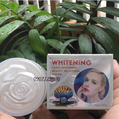 Bộ đôi KEM NÁM WHITENING 25g + Victory Hoa Việt