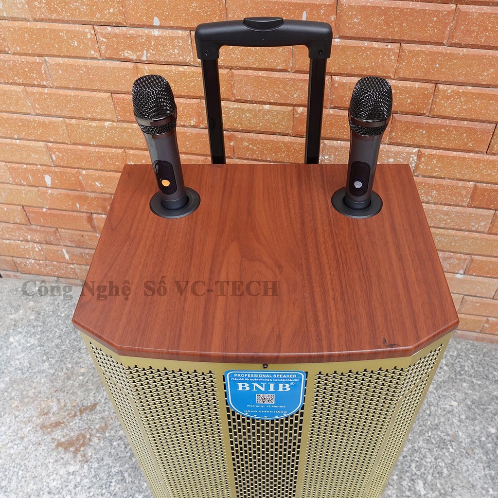 Loa Kéo BNIB 1599 Plus Loa kẹo kéo bass 40 hát karaoke tích hợp bluetooth tích hợp Micro không dây Bảo Hành 12 Tháng