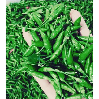 Hạt giống ỚT XIÊM XANH( 0,2g/gói)