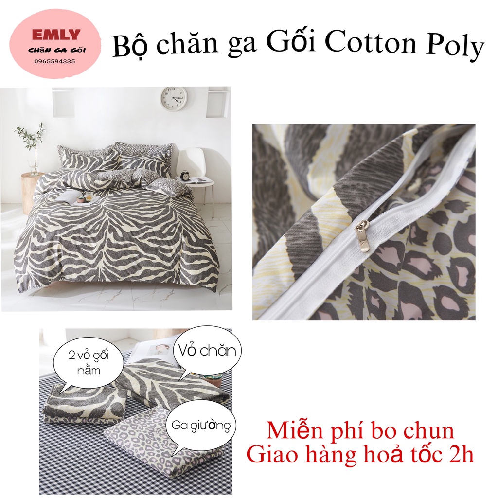 Bộ Chăn Ga Gối Coton 3D hàng nhập khẩu Emly Bedding.( Ảnh thật ) | BigBuy360 - bigbuy360.vn