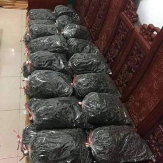 Chè ô long Phia đén - Cao bằng