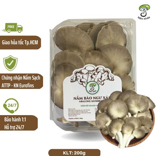 Hộp 200g Nấm Bào Ngư Xám Organic, Hữu Cơ, Tươi Ngon 24h - Nấm Khỏe