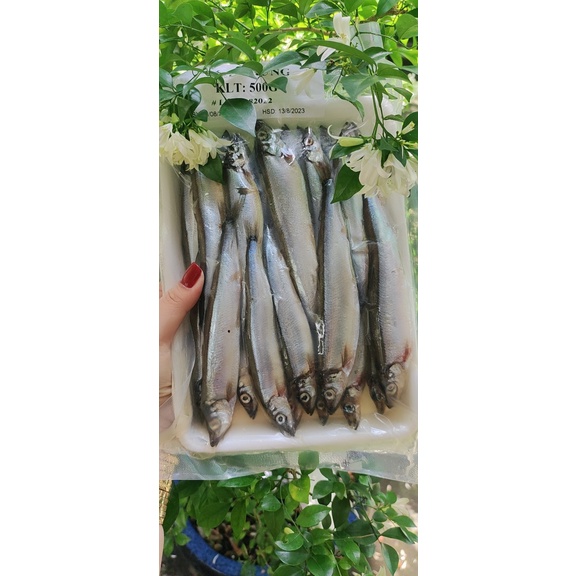 65k 500gram Cá trứng nauy 100% TRỨNG con nào cũng có trứng [Giao Hỏa Tốc HCM]
