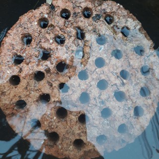 Than tổ ong nguyên khối