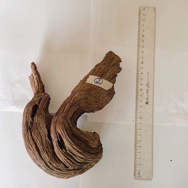 Lũa săn đá vân gỗ đẹp trang trí bể cá, tiểu cảnh, sân vườn, terrarium, bán cạn nhiều