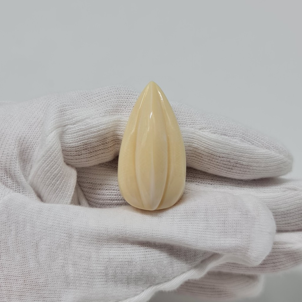 Phụ kiện chim - Star fruit - R008