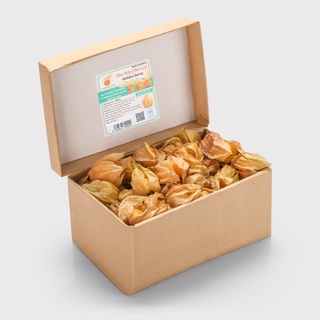 Quả tầm bóp nam mỹ tươi nguyên vỏ 500g