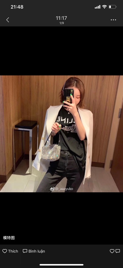 Clucth túi đá toàn bộ Alexanderr wangg hàng loại 1 su per cao cấp xịn xò ko phải loại 2, 3 nhé
