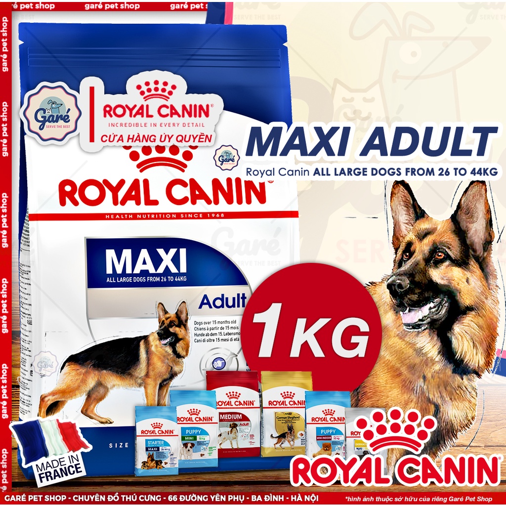10kg - Hạt Maxi Adult Royal Canin dành cho Chó trưởng thành giống lớn nặng 26 - 44kg