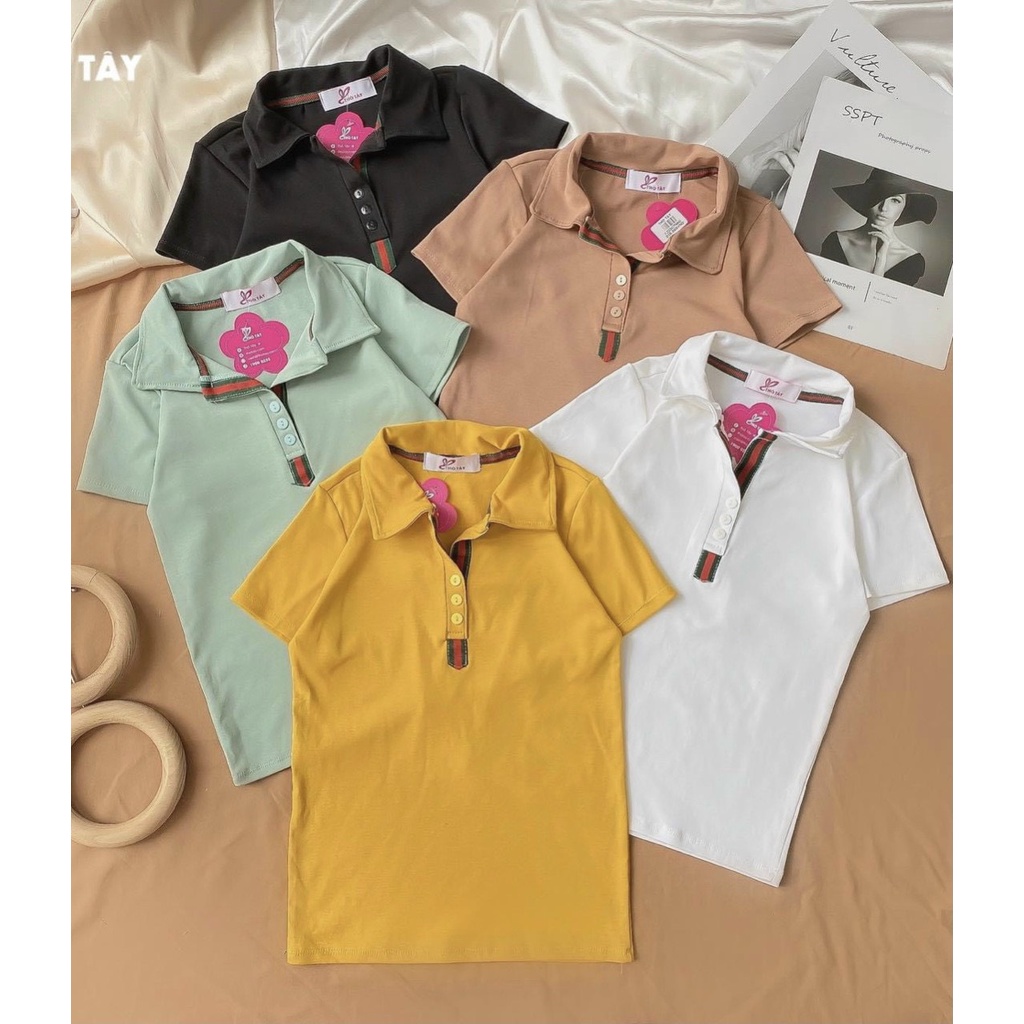 áo cổ bẻ polo nữ viền nút màu cổ