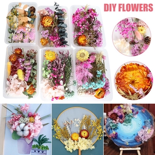 Hoa khô thật dùng làm nến thơm/mặt trang sức DIY