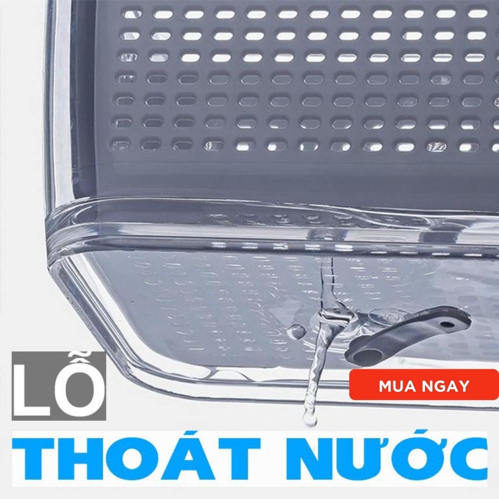 Hộp nhựa đựng thực phẩm Hakori trong suốt có khay lót đáy giúp ráo nước - chất liệu cao cấp an toàn cho sức khỏe