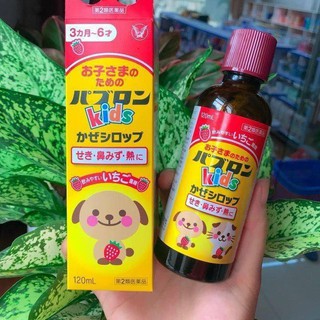 SIRO CHÓ MÈO KIDS TAISHO (SIRO S) - NHẬT BẢN