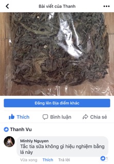 Lá bồ công anh