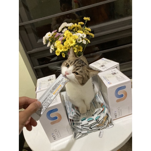 SÚP THƯỞNG PET SNACK QUE THƯỞNG CHO MÈO để