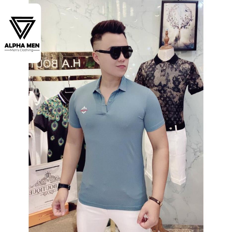 ⭐️SIÊU PHẨM⭐️Áo POLO Nam Cổ Bẻ Vải Thun Mịn Mát Lạnh - Áo Thun Nam Cao Cấp chất mát mùa hè  M6099 | BigBuy360 - bigbuy360.vn
