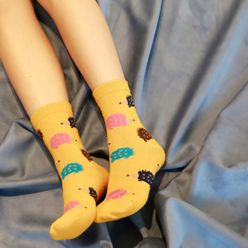 Tất cotton dài , in họa tiết nhím dễ thương cho nữ