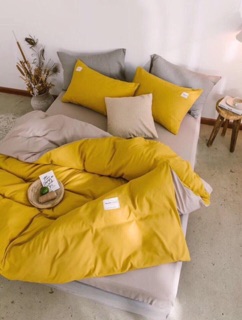 Set chăn ga gối trơn cotton