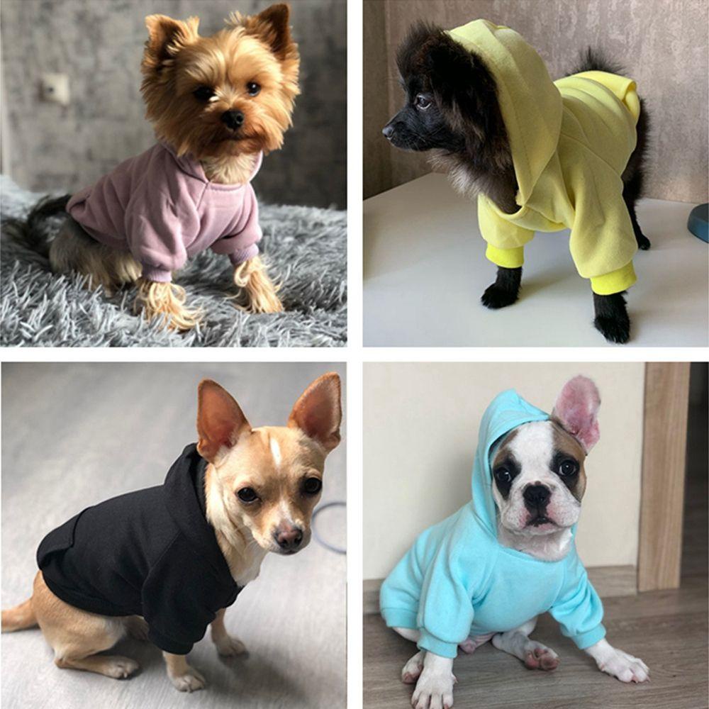 Áo Khoác Sweater Thời Trang Cho Chó Chihuahua