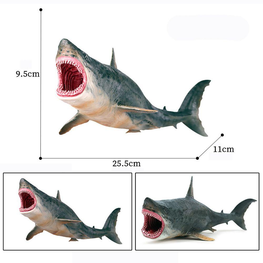 Mô Hình Megalodon Đồ Chơi Nhận Biết Giáo Dục Sớm Cho Bé