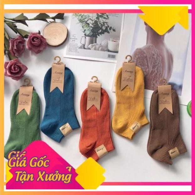 Tất Len Gân Nữ Tông Màu Sáng Trẻ Trung Loại Mới Cao Cấp.1 đôi
