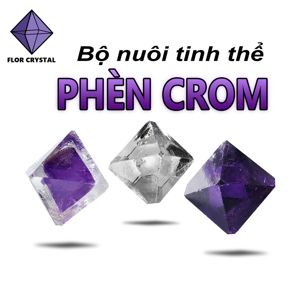 🍋 Bộ nuôi tinh thể phèn Crom phèn chua kèm mầm