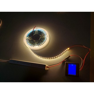 Đèn led 8mm - 120b/m/cuộn 5m