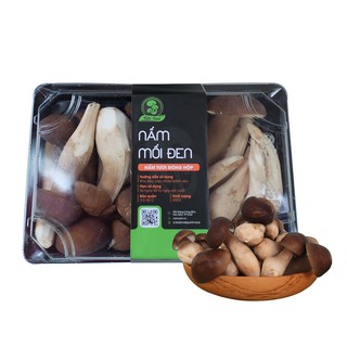 Nấm Mối Đen Tươi Khay 100gr - 200gr - Nấm Xanh