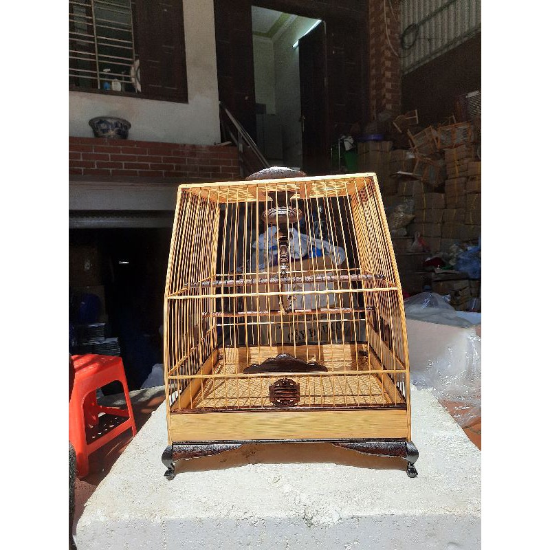 LỒNG THÁI ĐẤU ĐỘ MUN