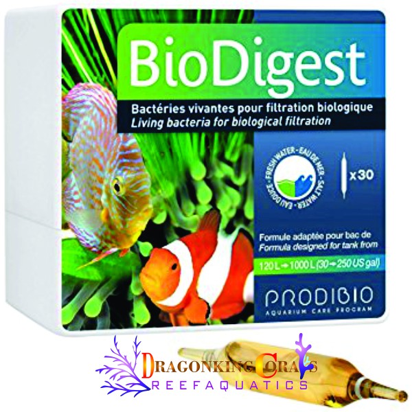 Vi sinh cho hồ cá cảnh biển BioDigest | Probidio