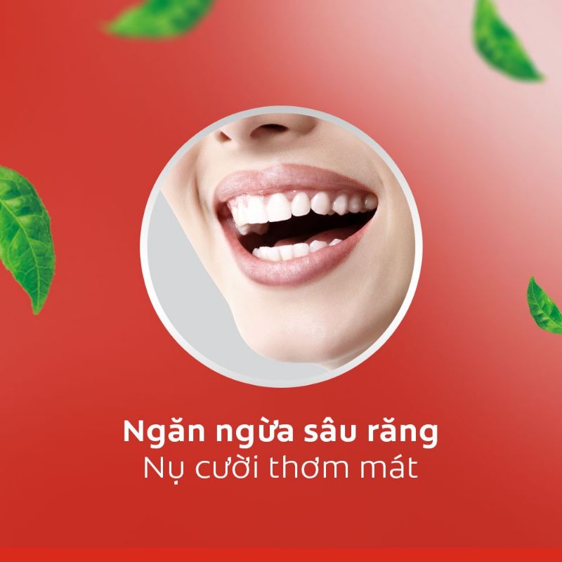 Nước súc miệng Colgate Trà Xanh/Bạc Hà The Mát 500ml