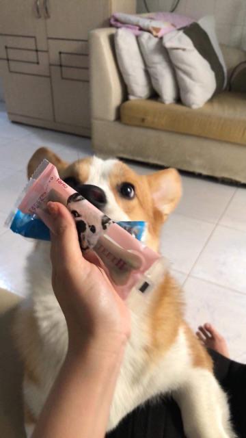 Xương gặm sạch răng cho chó Yaho 18cm