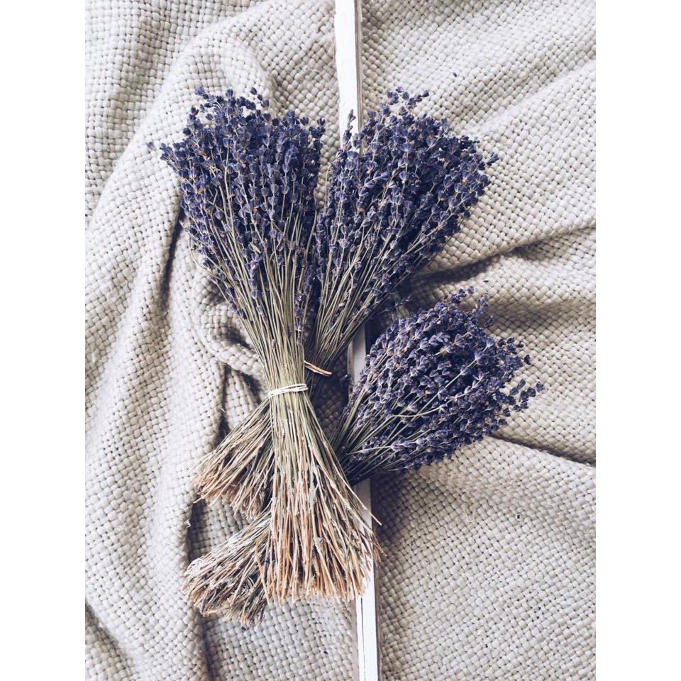 Quà tặng – hộp hoa Lavender khô (shop tự bó đẹp và lãng mạng)