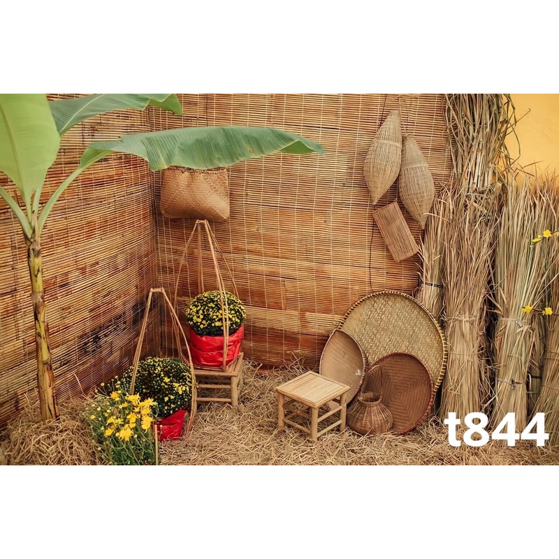Phông nền chụp ảnh mã T844