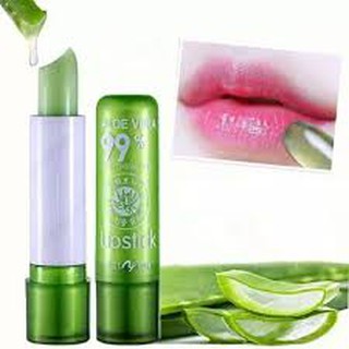 SON DƯỠNG NHA ĐAM ALOE VERA 99%